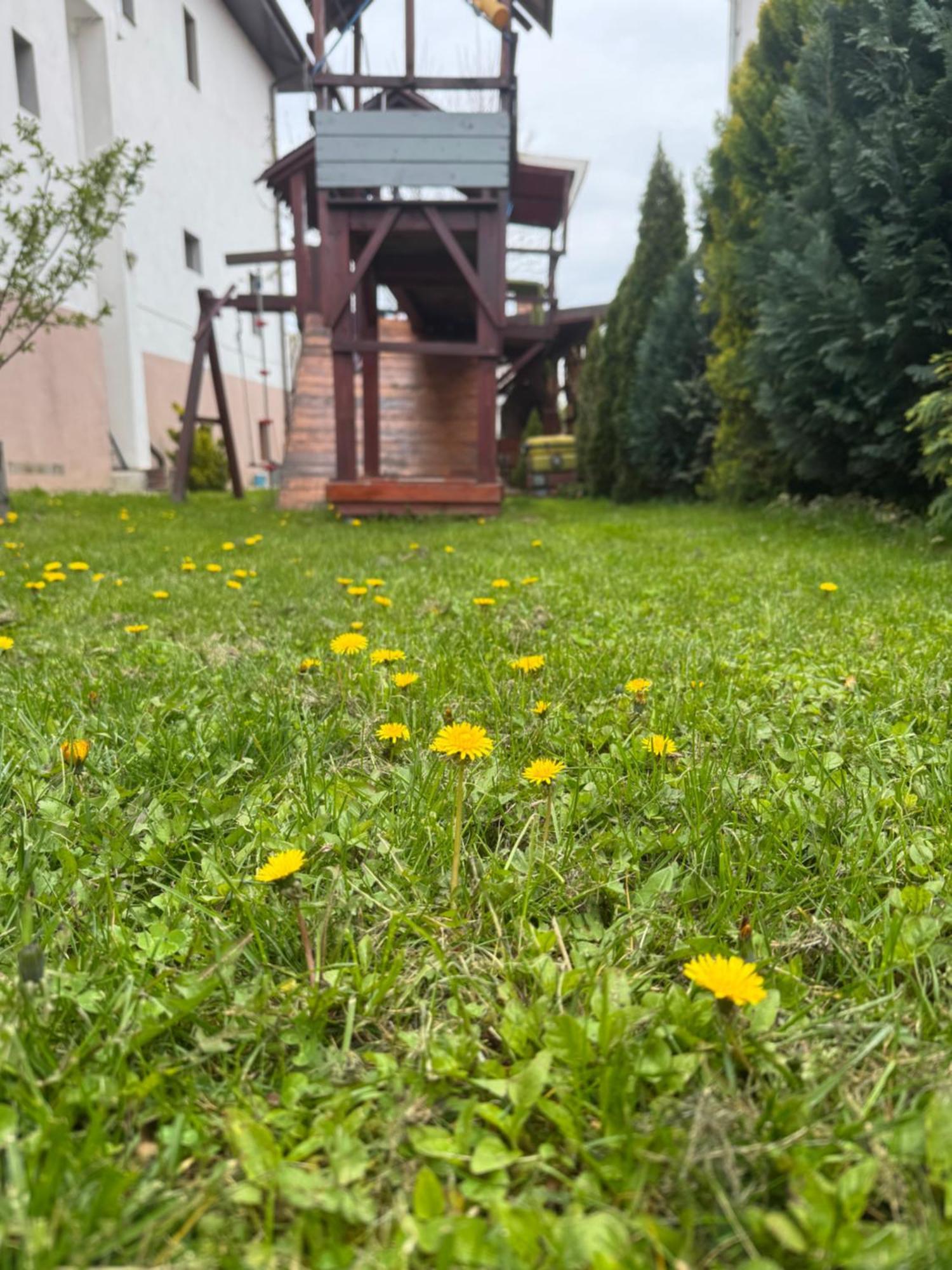 Pensiunea Casa Rica Келіменешті Екстер'єр фото
